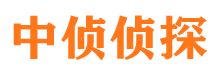 大城捉小三公司